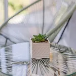 아파트 Luxury Seaside